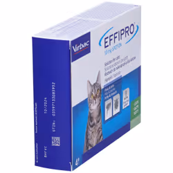 Effipro 4 Pipette Spot-On per Gatti 50mg