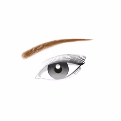 Color Riche Brow Artist pastello sourcils #6.0-ramato