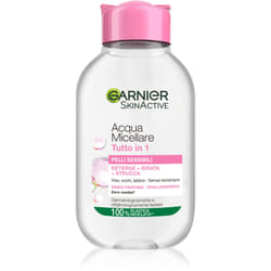 Garnier Skin Active Skin Naturals 100 ml
