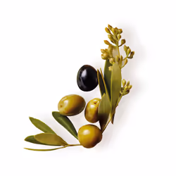 Rimedi Originali mitico balsamo alle olive 250 ml
