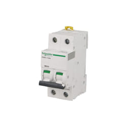 Schneider Electric - Interruttore bipolare modulare Schneider Acti9 iC60N 6A curva c