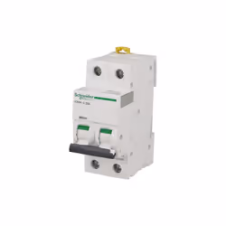 Interruttore modulare bipolare Schneider Electric - Gamma: Acti9 Esplora la nostra ampia selezione di interruttori automatici ...