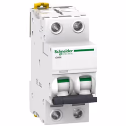 SCHNEIDER - A9F74204 Interruttore magnetotermico IC60N 2P C 4A 6000A SCHNEIDER (A9F74204) - Scopri qualità e affidabilità. EA ...