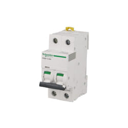 Schneider Electric - Interruttore bipolare modulare Schneider Acti9 iC60N 6A curva d