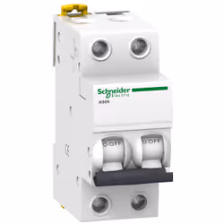 Schneider Electric A9K24240 interruttore automatico Tipo C 2 4 modulo/moduli