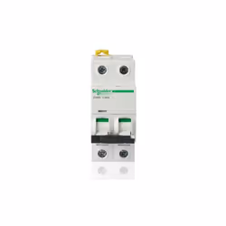 SCHNEIDER - A9F79225 Interruttore Magnetotermico (automatico) 2 Poli C 25A 6000A serie iC60N SCHNEIDER (A9F79225) - Scopri qu ...