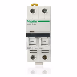 SCHNEIDER - A9F79240 Interruttore magnetotermico iC60N 2P C 40A 6000A SCHNEIDER (A9F79240) - Scopri qualità e affidabilità. E ...