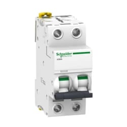 Schneider Electric - Ic60N 2P c 50A 6000A ( schneider cod. A9F79250 )
