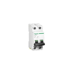 Schneider Electric - Schneider A9N61528 Interruttore automatico 2P 10A 500V C60