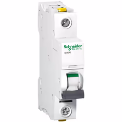 Schneider Electric A9F03101, Interruttore in miniatura, 10000 A, IP20