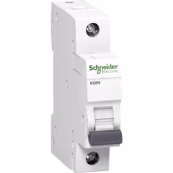 Schneider Interruttore automatico K60N 1P, 2A, C, caratteristiche, 6kA Ean 3606480478277 Worldwide Schneider Warranty