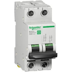 Schneider Electric C60H-DC interruttore automatico 2P