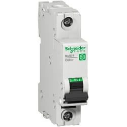 Schneider Electric C60SP interruttore automatico 1P