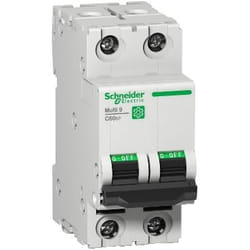 Schneider Electric C60SP interruttore automatico 2P