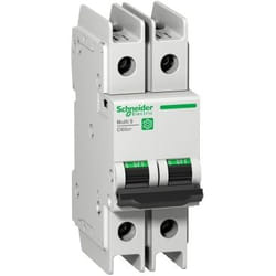 Schneider Electric C60BP interruttore automatico 2P