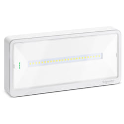 Schneider Electric - Lampada di Emergenza a parete Schneider exw light 110 Modalità se/sa IP42 OVA44010