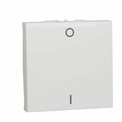 Schneider Electric - Interruttore bipolare 16A 2 moduli polari schneider NU326218