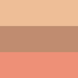 Rimmel Terra Sculpting Palette, 002 Coral - Vista aggiuntiva 5