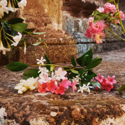 Gucci Bloom Eau De Toilette 100 ml - Vista aggiuntiva 5