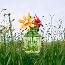 Daisy Wild Eau So Intense eau de parfum vaporizzatore 50 ml - Vista aggiuntiva 2