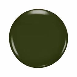 Nailfinity smalto #595-verde stanza