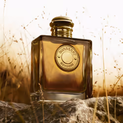 Burberry Goddess Parfum For Her - 50 ml - Vista aggiuntiva 4