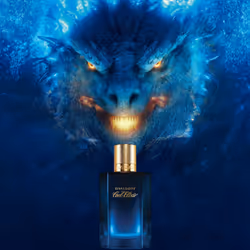 Davidoff Cool Elixir Uomo Eau De Parfum 100ml - Vista aggiuntiva 8