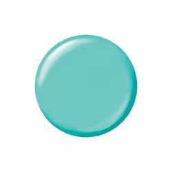 Color Therapy colore per unghie #Take a Mint