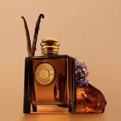 Burberry Goddess Amber Vanilla Eau De Parfum 30ml - Vista aggiuntiva 3