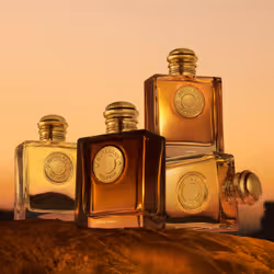 Burberry Goddess Amber Vanilla Eau De Parfum 100ml - Vista aggiuntiva 5