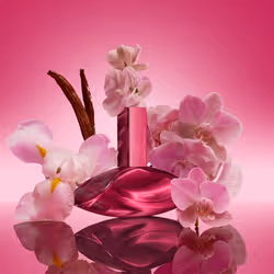 Calvin Klein Euphoria Magnetic Elixir Parfum Intense for Women 30ml - Vista aggiuntiva 3