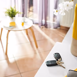 Somfy 2401539 accessorio per apriporta del garage Controllore remoto - Vista aggiuntiva 4