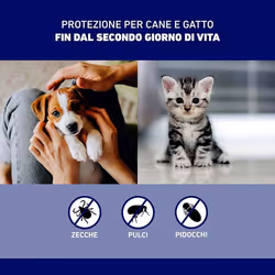 Frontline Spray Antiparassitario Veterinario per Cani e Gatti 100ml