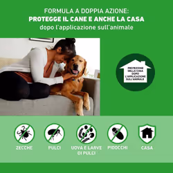 Frontline Combo Antiparassitario Per Cani 10-20kg 3 Pipette