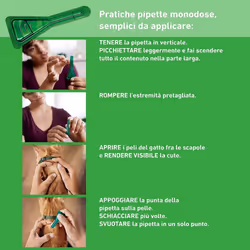 Frontline Combo Antiparassitario Veterinario per Gatti Cuccioli e Furetti 1 Pipetta da 0,5ml - Vista aggiuntiva 4