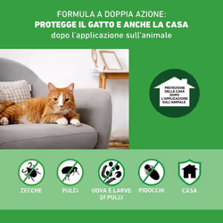 Frontline Combo Antiprassitario per Gatti e Furetti 6 Pipette
