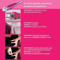 Frontline Tri-Act x1 Pipetta, Antiparassitario Per Cani (2-5Kg) Contro Parassiti E Insetti Volanti 1x0,5 ml Pipette monodose - Vista aggiuntiva 4