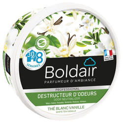 Boldair PV56078601 deodorante solido per ambiente