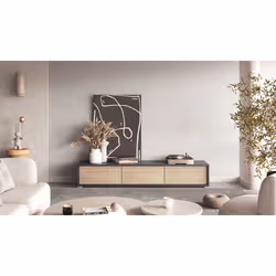 Meublorama HA-FRIDA-24JDMT38*2C/34KG supporto TV e sistema audio - Vista aggiuntiva 5