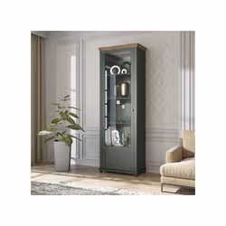 Meublorama DS-HA-EVORA-24ZRJU05*2C/78KG credenza per soggiorno 1 porta/porte - Vista aggiuntiva 3