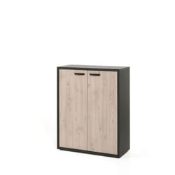 Meublorama NT-CAPO-CAP2A*2C/51KG armadietto per ufficio