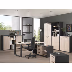 Meublorama NT-CAPO-CAP2C*2C/81KG armadietto per ufficio - Vista aggiuntiva 2
