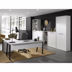 Meublorama NT-PRONTO-PRO1A*2C/51KG armadietto per ufficio - Vista aggiuntiva 3