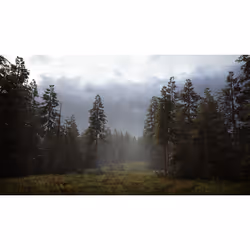 Bigben Interactive Hunting Simulator 2 - Vista aggiuntiva 2