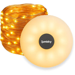 Ghirlanda luminosa portatile 10 m roly