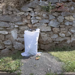 Ribimex PRSACX5GRA sacchetto da giardino