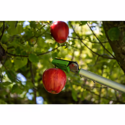 Ribimex PRESCF5 raccoglifrutta sfusa