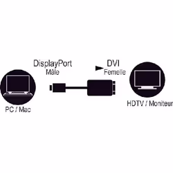 MCL CG-290CAZ cavo e adattatore video 0,15 m DisplayPort DVI Nero