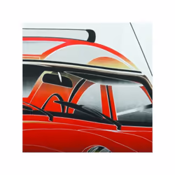 MSV 140814 tenda per doccia Anello Poliestere Rosso, Bianco