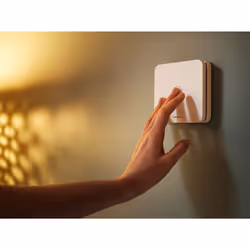 Netatmo CO Detector Rivelatore di monossido di carbonio Collegamento wireless